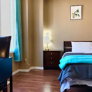 https://quiet-room-around-york-university-subway.hotelstorontoontario.org